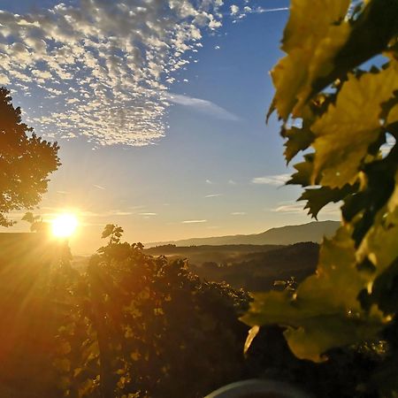 Peiserhof Ferien.Wein.Gut Suedsteiermark Vila Wies Exterior foto